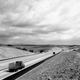 Illustration for article titled Photos of Orange County, Calif., When Oranges Actually Grew There